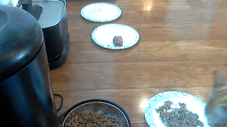 GIF of Goblin slowly approaching a plate and eating from it